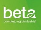 Beta Agroindustrial Complex planted 250 hectares of blueberries - Vimarsana News
