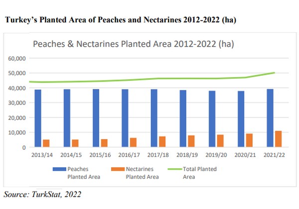 Total cherry production forecast MY 2022/23 at 980,000 tons - Vimarsana News