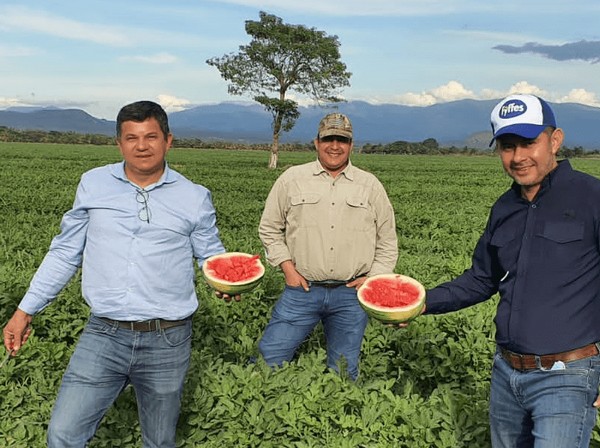 Fyffes announces melon business transformation in Honduras - Vimarsana News