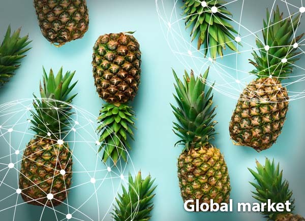 GLOBAL MARKET OVERVIEW PINEAPPLES - Vimarsana News