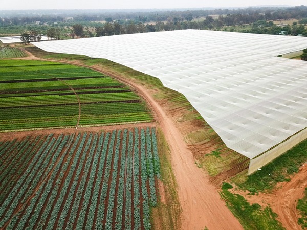 Harvestfresh expands processing capacity to optimise post-Covid pivot - Vimarsana News