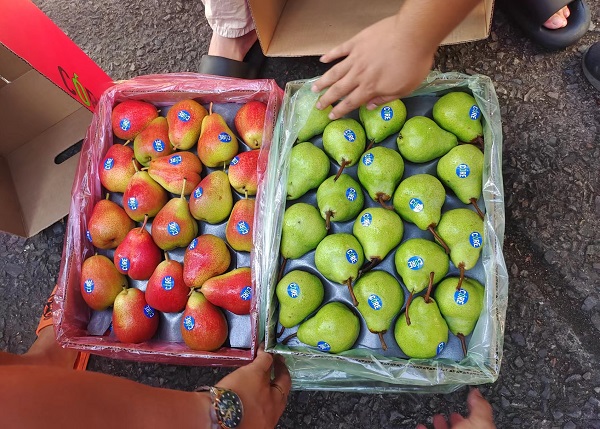 South African pears pique interest on the Chinese market - Vimarsana News