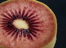 Little red gem sizing up on New Zealand orchards - Vimarsana News