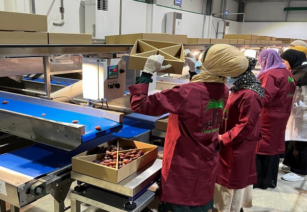 Jordanian date exports gaining momentum - Vimarsana News
