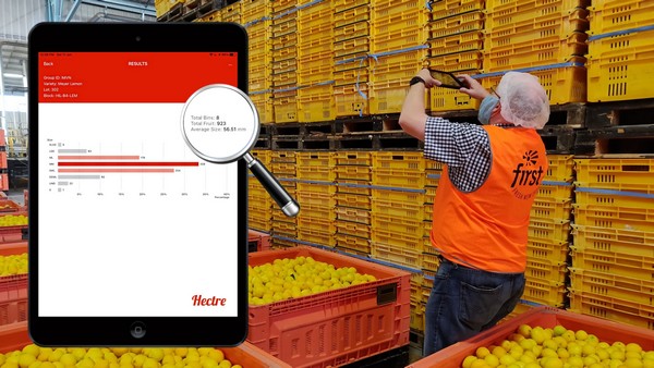 Mobile citrus sizing app showcased at Citrus NZ Conference - Vimarsana News