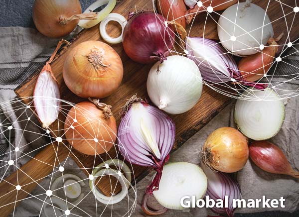 Demand for China's quick-frozen onions has increased significantly in the  European market