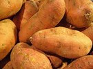 Eritrean Ministry of Agriculture promotes sweet potato production - Vimarsana News
