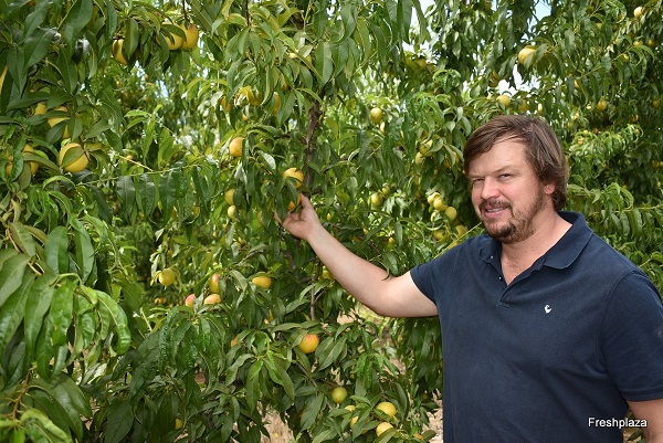 "We chose stonefruit because it's difficult" - Vimarsana News