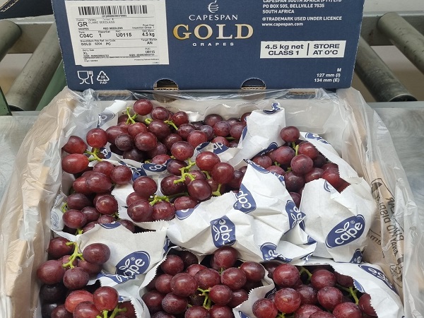 Slower grape sales balanced out by South Africa's smaller crop - Vimarsana News