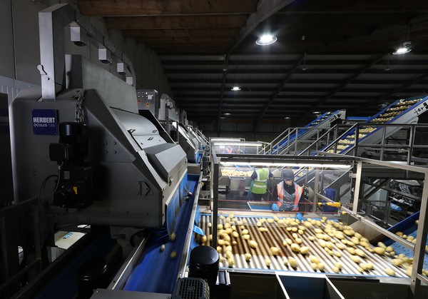 Key Technology introduces enhanced optical sorter for whole potatoes - Vimarsana News