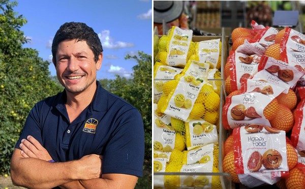 IMG Citrus expands team to boost year-round citrus strategy - Vimarsana News