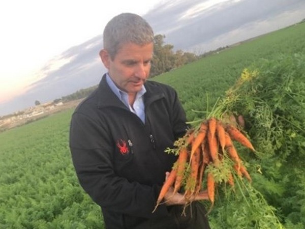 New carrot line debuts - Vimarsana News