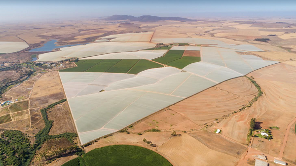 Berg River farmers avoid loadshedding through pilot project with Eskom - Vimarsana News