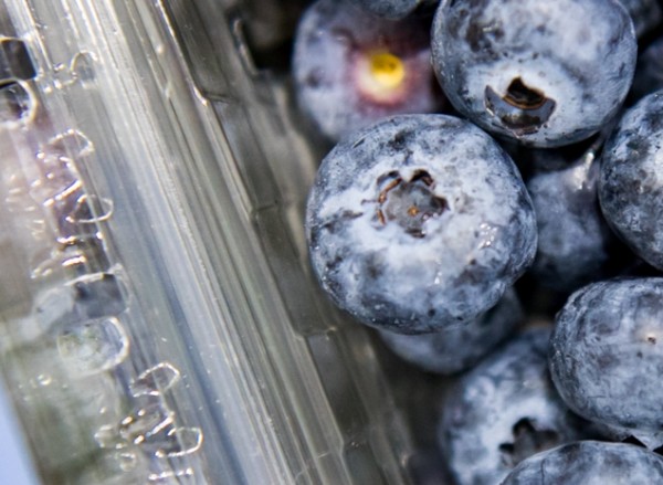 Lineage Logistics expands fresh produce offering in Europe - Vimarsana News
