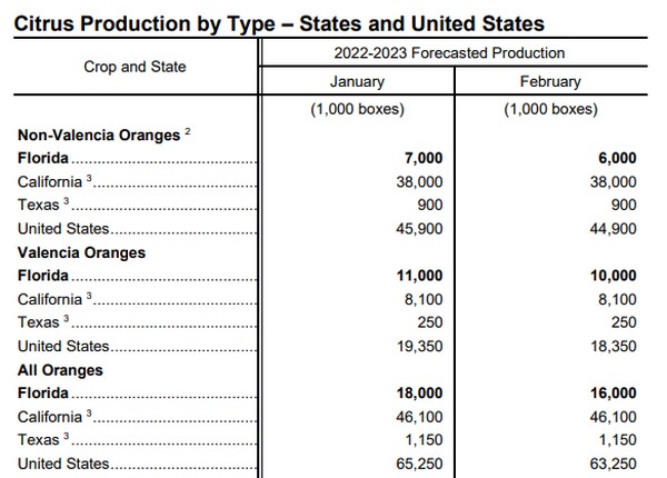 2022-2023 Florida all orange forecast released – number stands at 16.0 mln boxes - Vimarsana News