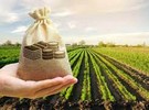 Jharkhand traders on indefinite strike against agriculture tax from February 15 - Vimarsana News