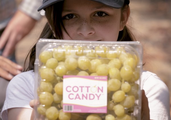Breeder celebrates 20 years of Cotton Candy Grapes - Vimarsana News