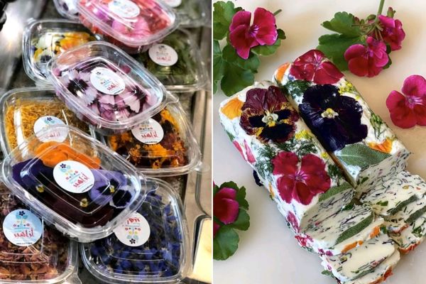 La fleur comestible made in France, un marché de niche où sont preneurs  le Maroc et Israël