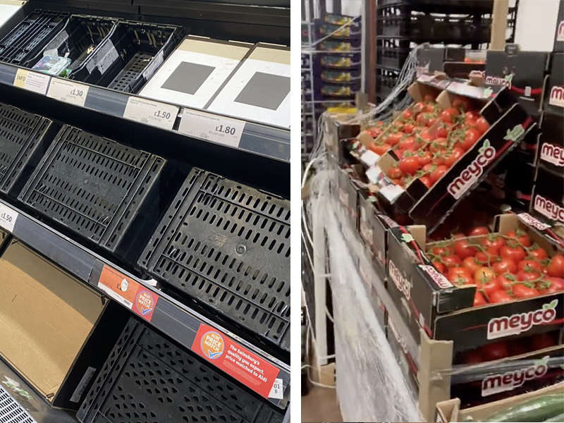 UK shortages? "Enough iceberg lettuce to sink the Titanic" - Vimarsana News