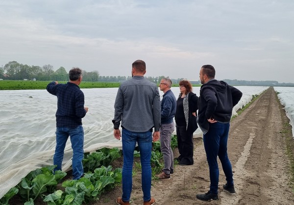"Dutch organic market dealing with inflation just fine" - Vimarsana News