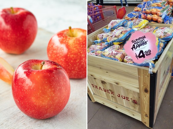 New Sunrise Magic apple variety available across the US - Vimarsana News