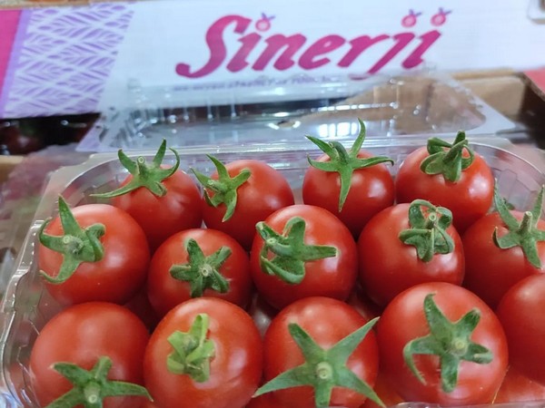 "Lack of Dutch tomato production increased demand" - Vimarsana News
