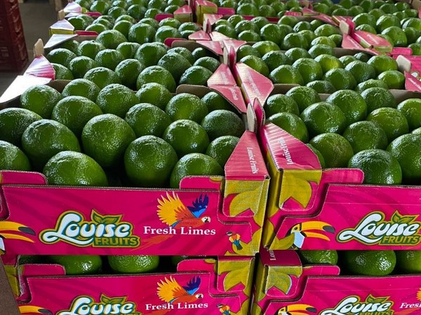 "On limes things change fast, Europe's high season is coming, orders and prices are increasing" - Vimarsana News