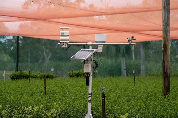 Australian citrus nursery uses data-driven analytics for more sustainable water management - Vimarsana News