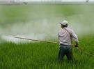 China releases National Food Safety Standard for MRL limits of 112 pesticides - Vimarsana News