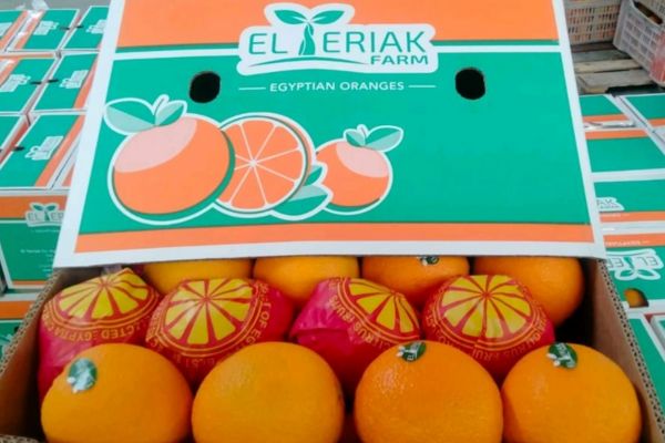 Egyptian Valencia oranges will be available in larger volumes and at lower prices compared to last season - Vimarsana News