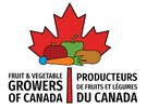 Canada's federal budget could have done more for domestic fruit and veg sector - Vimarsana News