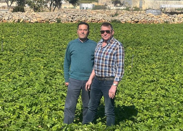 Floods halt Santé potatoes' early start from Malta - Vimarsana News