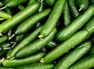 Canadian consumers see cucumbers prices up 63 percent over last year - Vimarsana News