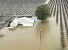 San Joaquin Valley agricultural losses rise over $60 million - Vimarsana News