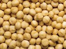 Kenyan government removes ban on raw macadamia exports - Vimarsana News