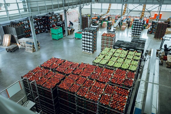 "Moldova is gradually diversifying its apple export market" - Vimarsana News