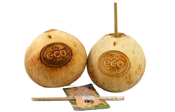 Consumers drawn to natural packaging of ready-to-drink coconuts - Vimarsana News