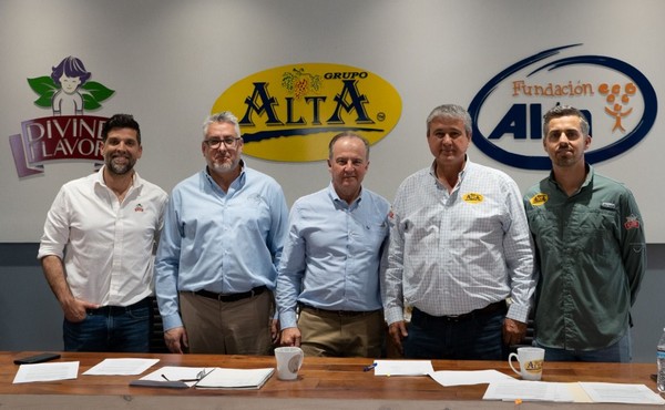 Table grape marketer forms collaboration agreement with breeding company - Vimarsana News