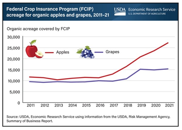 Organic fruit acreage enrolled in the Federal Crop Insurance Program grew between 2011 and 2021 - Vimarsana News