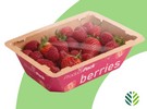 ProducePack™ Punnet range further enhanced with innovative barrier technology - Vimarsana News
