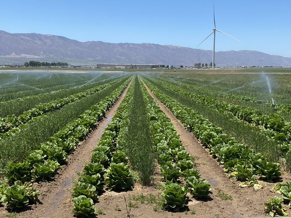 Digging deeper into regenerative agriculture for Earth Day - Vimarsana News
