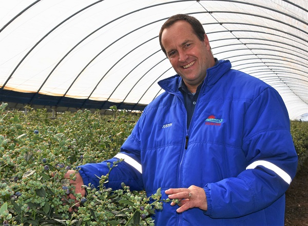 Blueberry industry frustrated at receding Chinese access - Vimarsana News