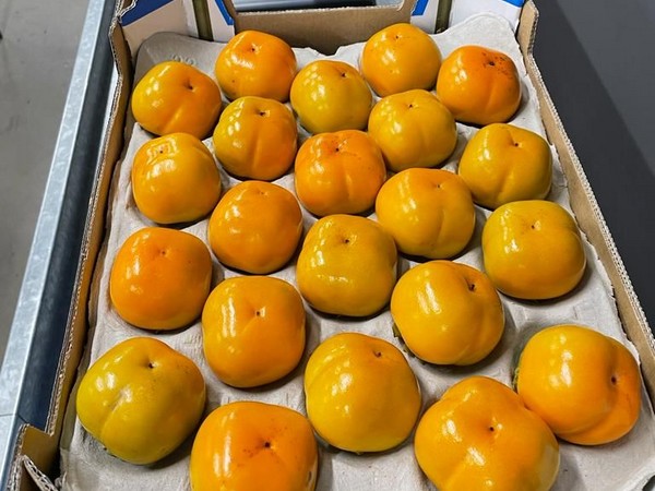 "I believe persimmon is a product which has never really reached its full potential" - Vimarsana News