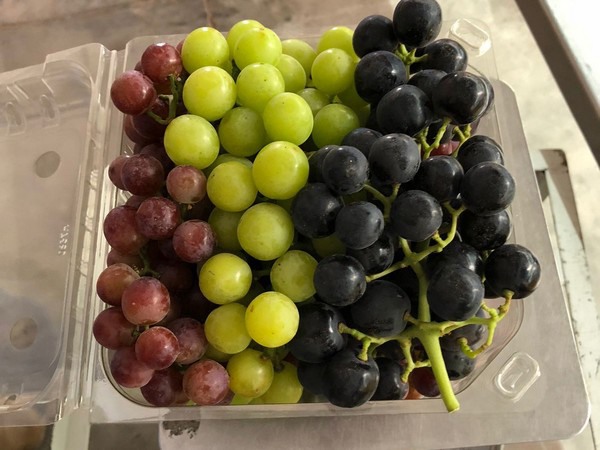 Potential gap ahead in grapes from Mexico - Vimarsana News