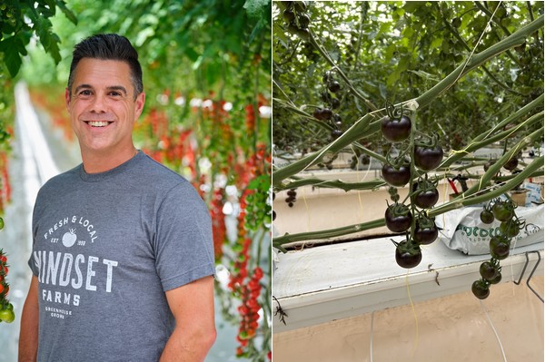 British Columbia greenhouse grower shows new products at CPMA 2023 - Vimarsana News