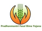 Experts claim Indian horticulture sector holds untapped potential - Vimarsana News