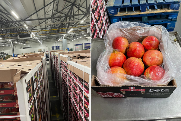 "Good sales of Peruvian pomegranates, especially a shortage of large sizes" - Vimarsana News