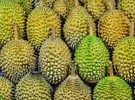 Vietnam: Durian prices down 40% in one month - Vimarsana News