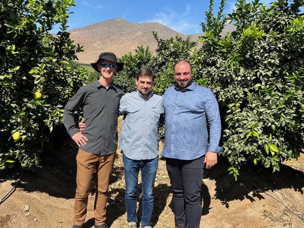 Morocco's early finish means market is ready for soft citrus imports - Vimarsana News