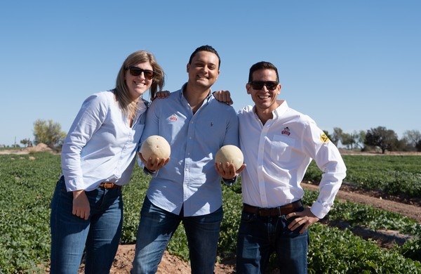 Spring melon deal underway in Mexico - Vimarsana News